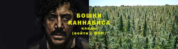 первитин Лиски