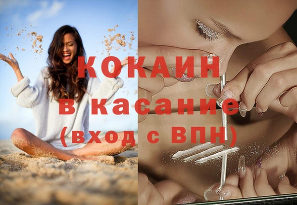 ешки Аркадак