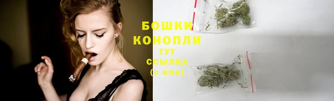 ешки Аркадак