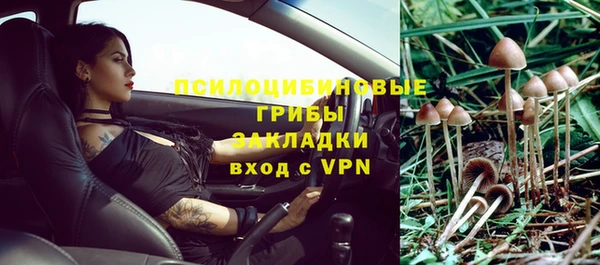 ешки Аркадак